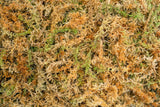 Spagmoss Classic New Zealand Sphagnum moss (Various sizes available)