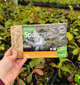 New Zealand Sphagnum moss (Various sizes available)
