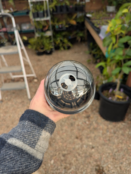 plant pot with humidity dome Pots with Domes