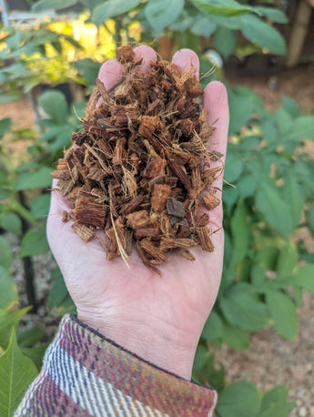 Washed coconut chips