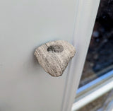 Feather Rock magnet for Air Plants