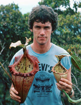 Nepenthes x Alisaputrana BE-3865 *SEED-GROWN*