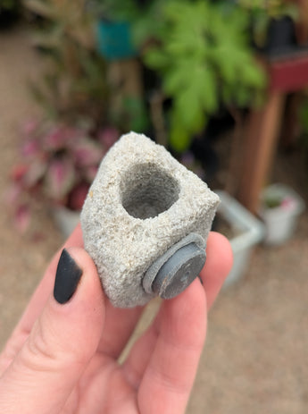 Feather Rock magnet for Air Plants