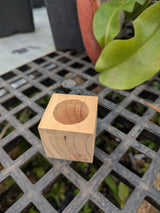 Wooden pots for air plants