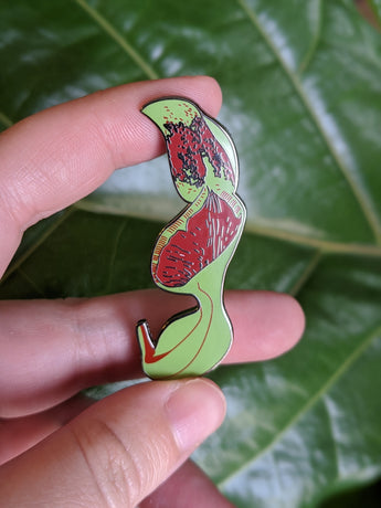 Nepenthes lowii *COLLECTIBLE HARD ENAMEL PIN*