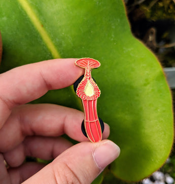 Nepenthes edwardsiana *COLLECTABLE ENAMEL PIN*